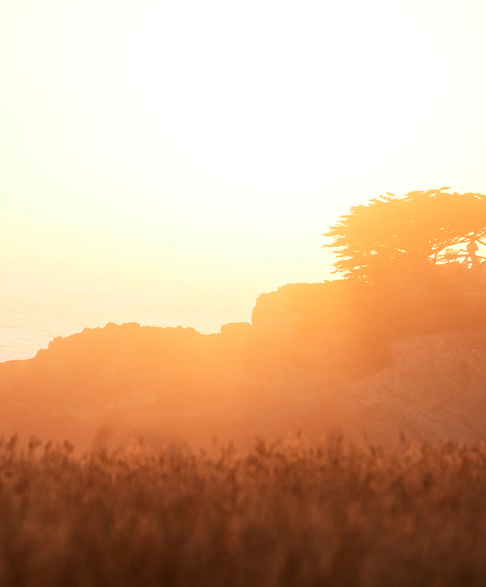 Blanket Shirt - SALE - Outerworn - Image 3