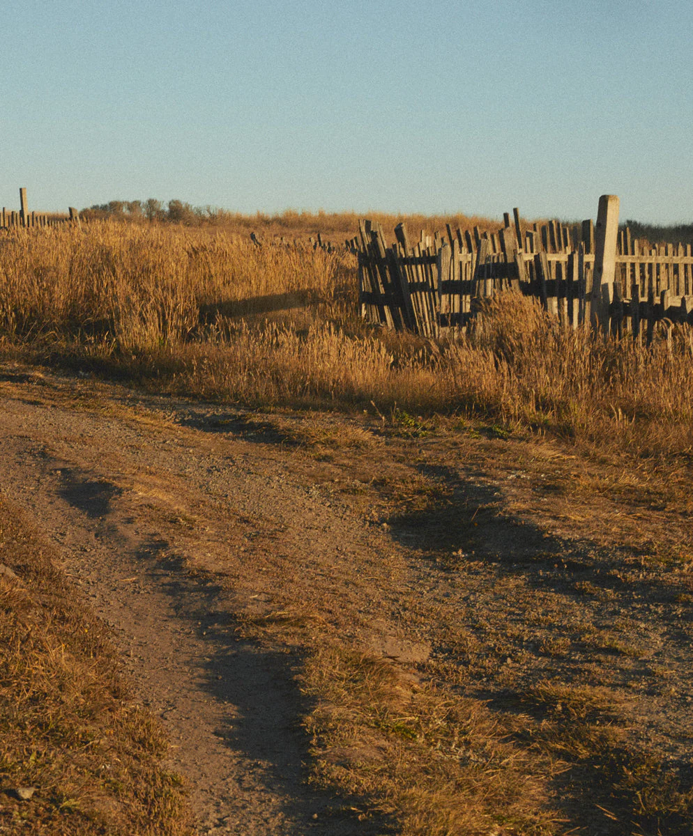 Cloud Joggers - Outerworn - Image 3