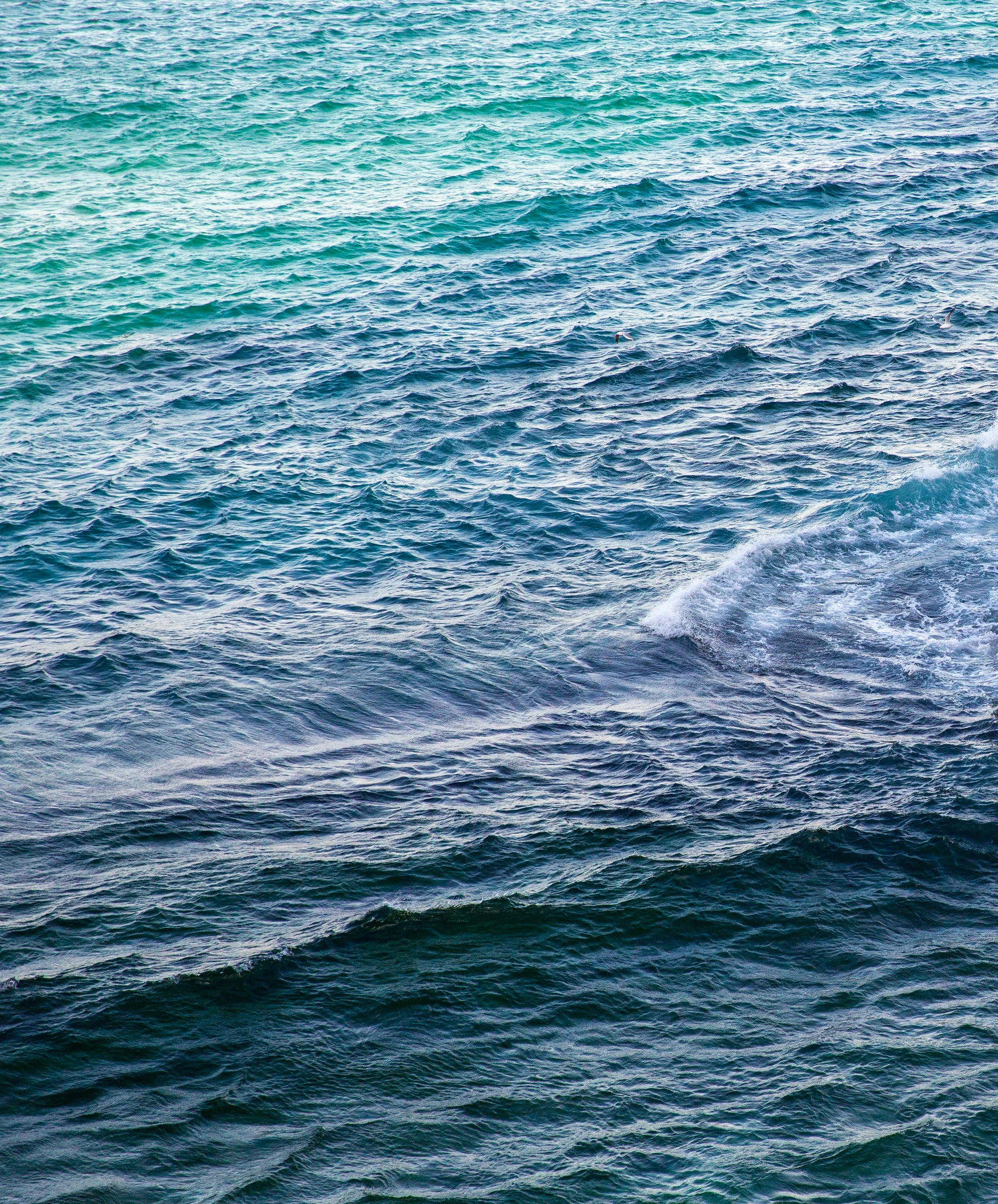 Drifter Tapered Fit - Outerworn - Image 3