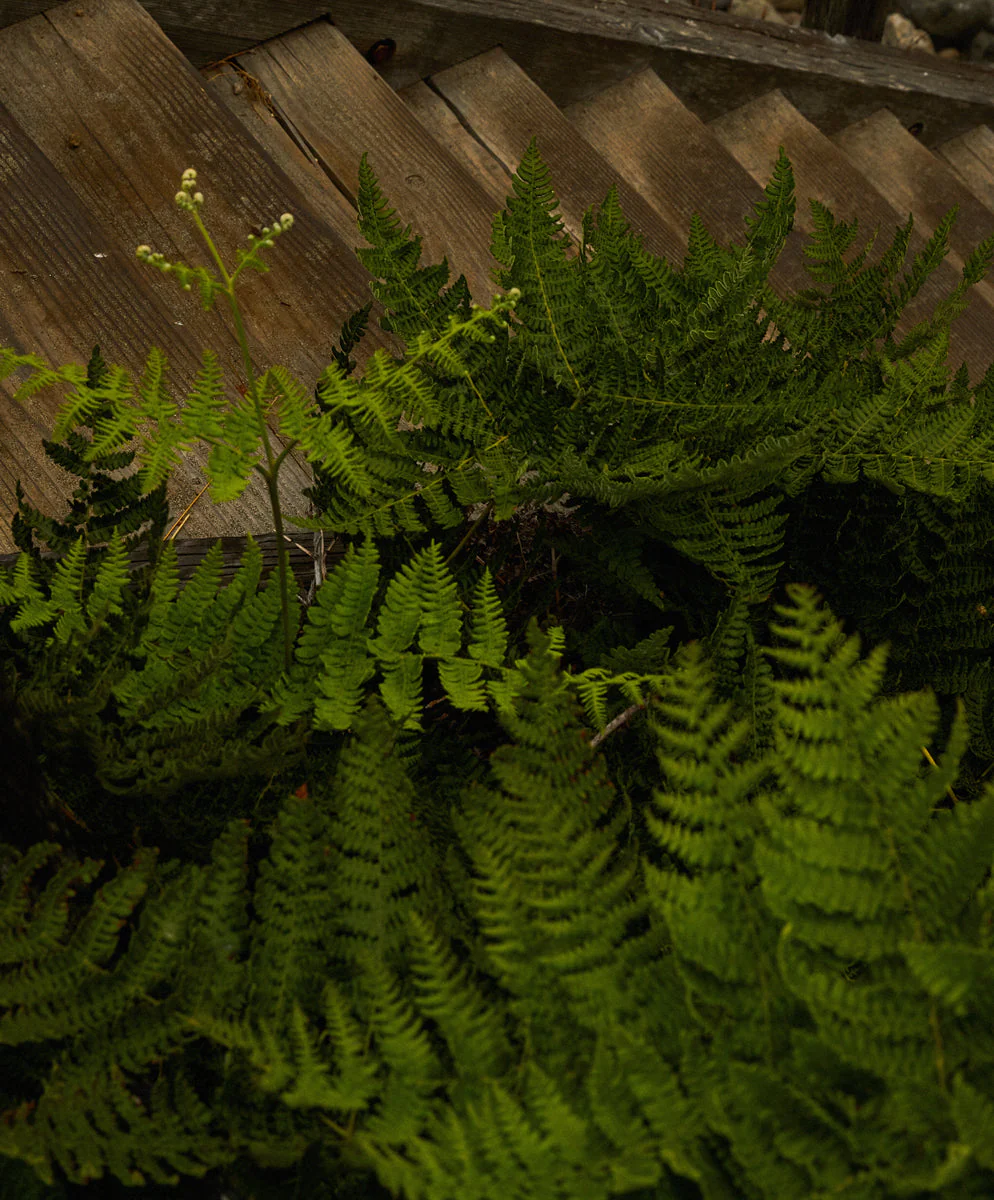 Sojourn L/S Henley - SALE - Outerworn - Image 7