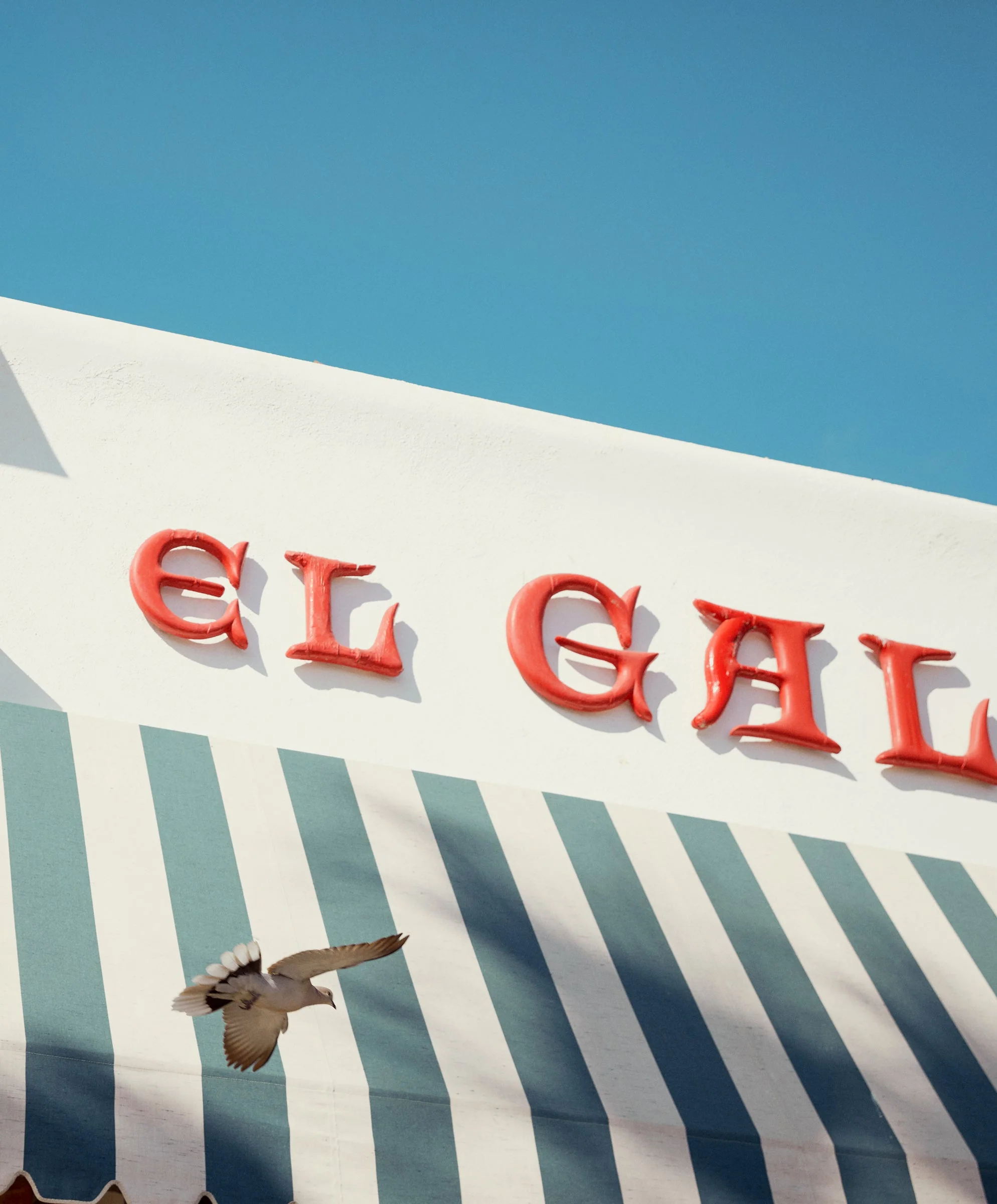 Sydney Boyfriend Shirt - Outerworn - Image 3