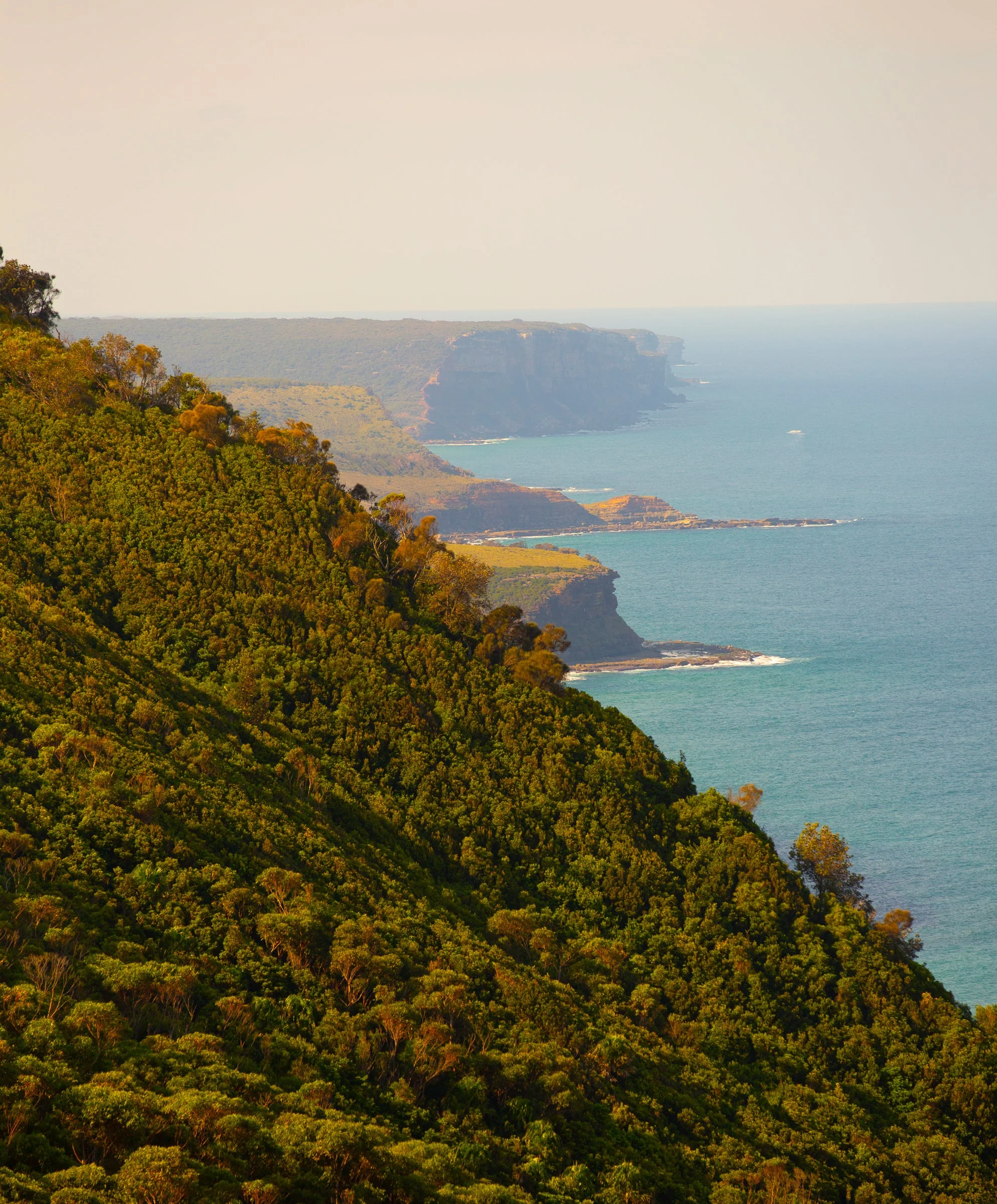 Uncharted Waffle Crew - SALE - Outerworn - Image 3