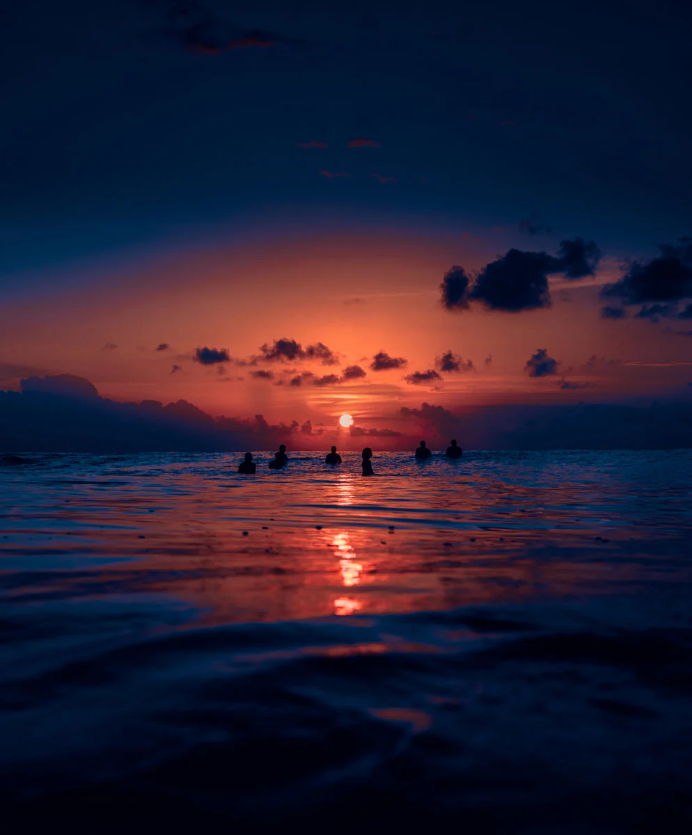 Women's Hightide Sweatpants - Outerworn - Image 3